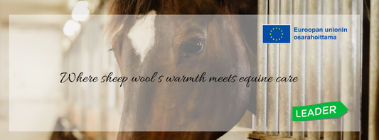 Hankerahoitusta Woolcare Oy:lle