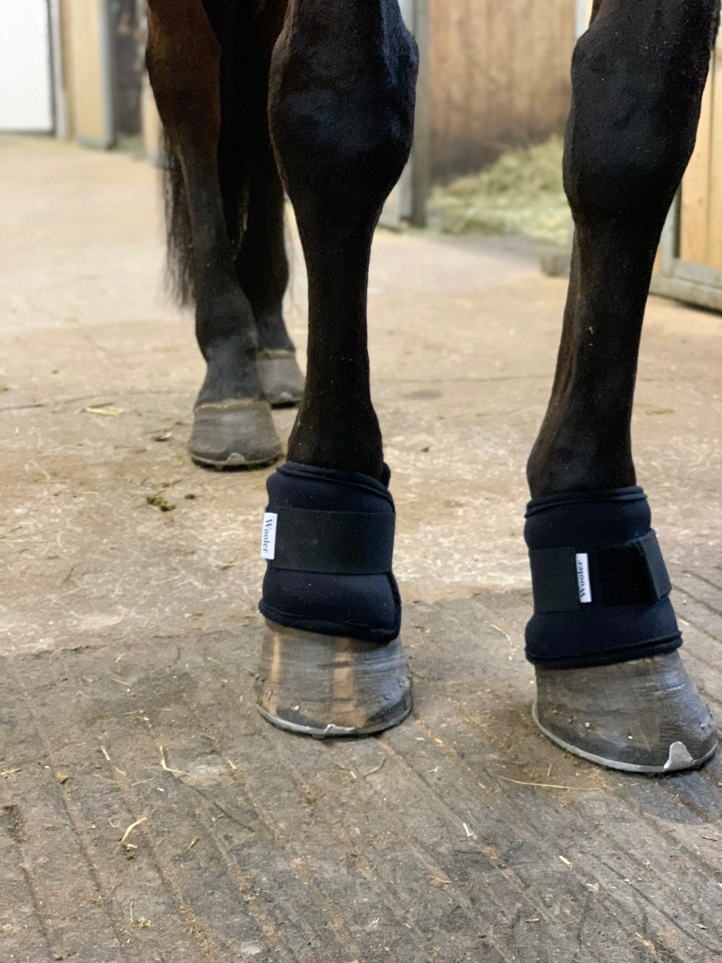 Wooler pastern wraps