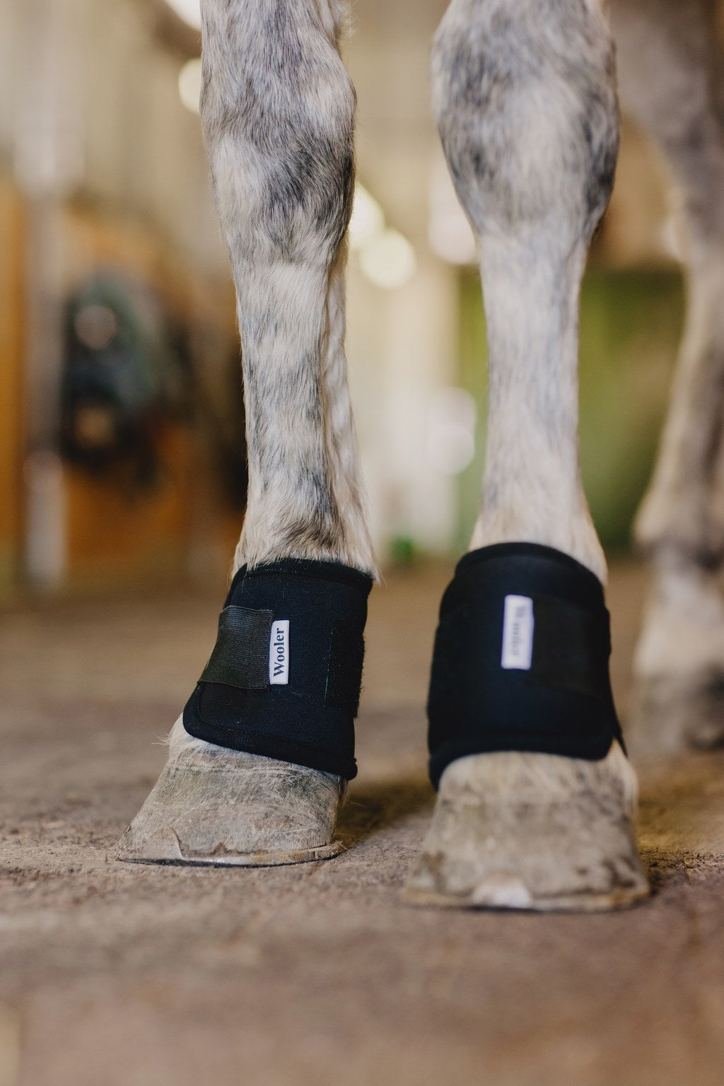 Wooler pastern wraps