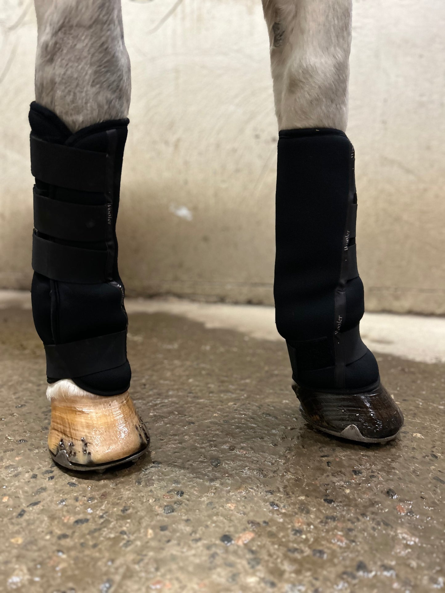 Wooler kuljetussuojat/ lyhyet tallisuojat