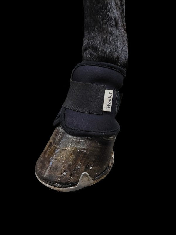 Wooler pastern wraps