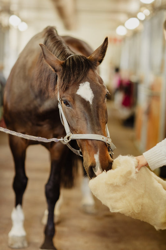 Wooler tuotteisiin vaihtovillat