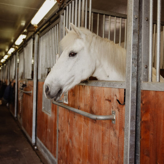 Yhteistarjous pony size