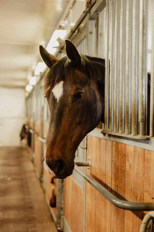 Yhteistarjous full koko