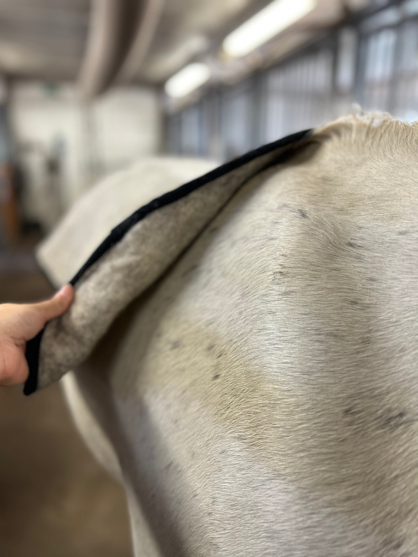 VILLAge selänlämmitin