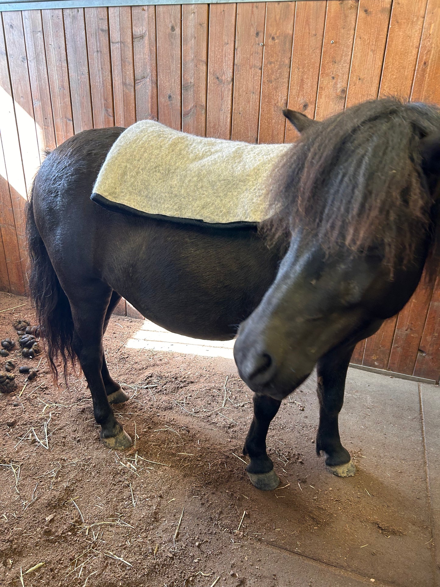 VILLAge selänlämmitin