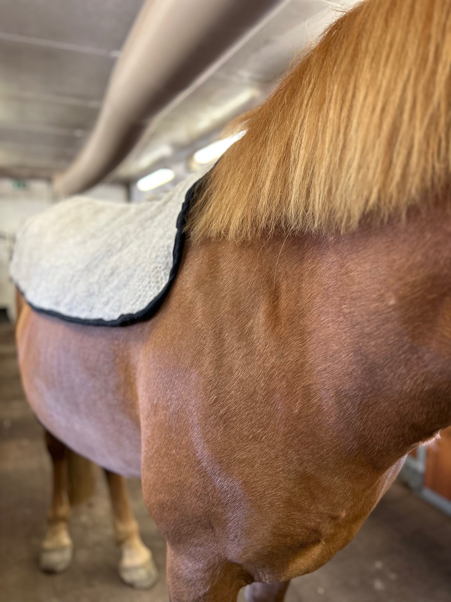 VILLAge selänlämmitin