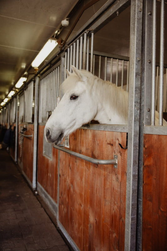Bundle Offer Pony Size