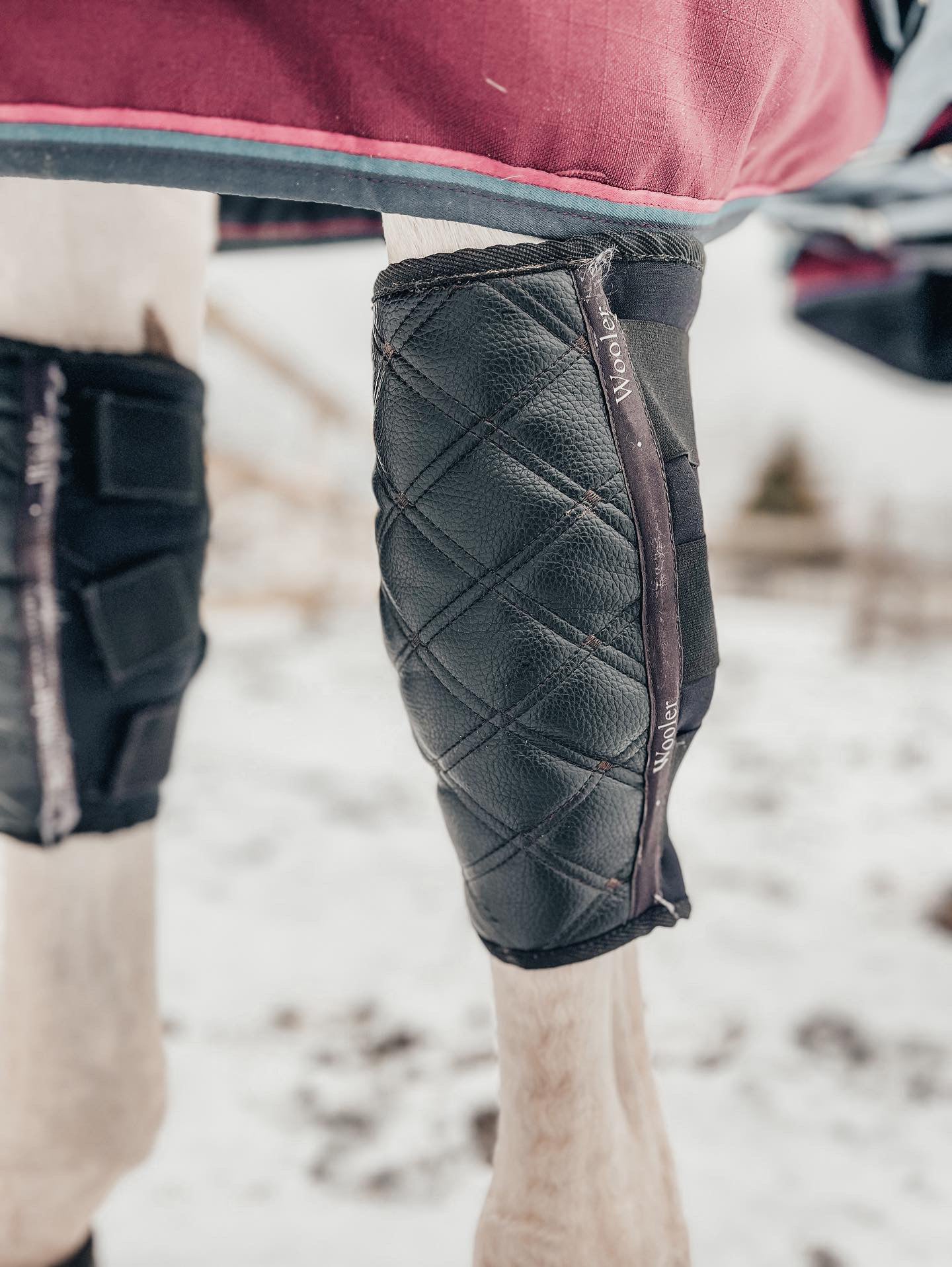 hevosen-polvi-turvottaa