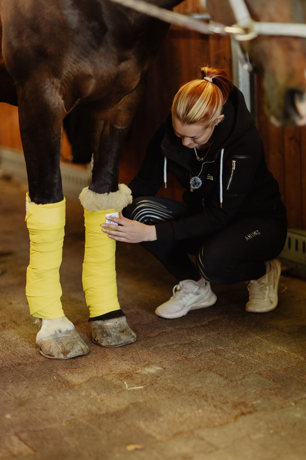 hevosen-suojat-etujalkoihin